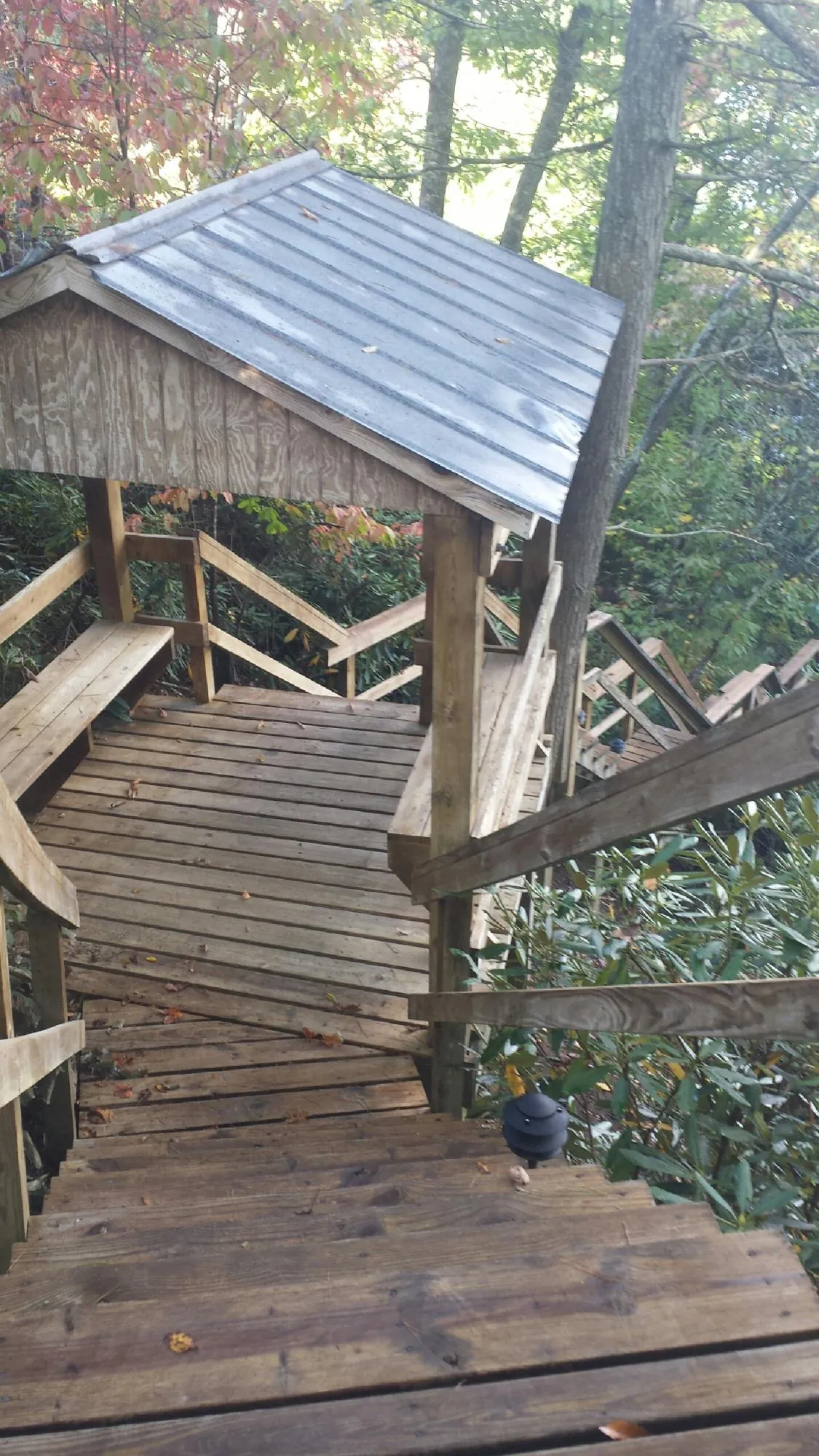 Metal roofed shelter over wooden steps on a wooded walkway — Skylight Repair & Installation work by our crew in Blodgett