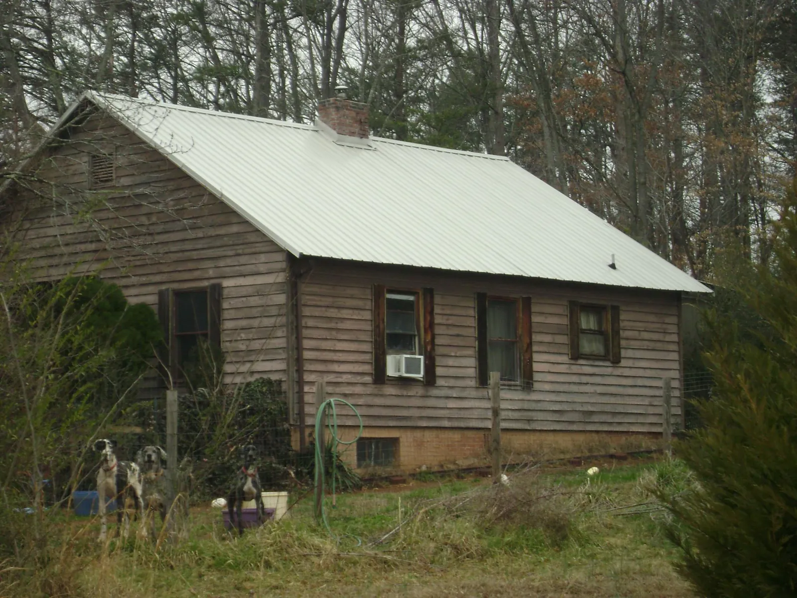 White metal roof on an old wood sided farmhouse, from a Metal Roof Installation job in Blodgett